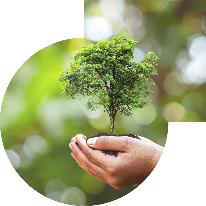 关怀人类、文化、环境与社会